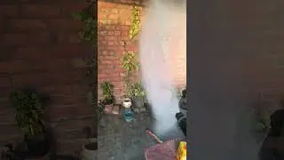 गर्मी में पौधो को पानी कैसे देना चाहिए। how to protect plants in summer #shorts