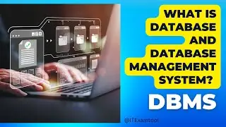 What are Database and Database management systems? (DBMS) | ITExamtools.com