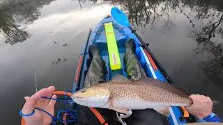 Spotted Gar, Bass, and PB KAYAK RED FISH in the Same Area!!!
