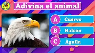 ✔Adivina el ANIMAL por su Imagen🐹🐷Nivel fácil || El profe Carlitos