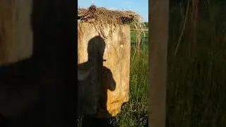 Готовая колода