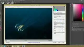 Revelado Digital de Fotografías Submarinas