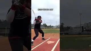 $50 Wood Bat vs. $300 Wood Bat 