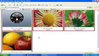 Project image gallary in CSS Bangla tutorial