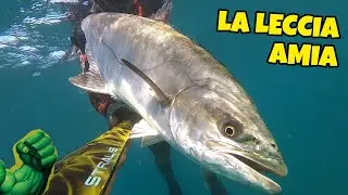 Quando meno te lo aspetti! - Pesca in Apnea