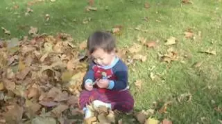 Curving the Pumpkin & Hanging out in the Backyard 2