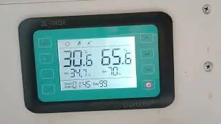 Инкубатор для вывода маток, полный обзор