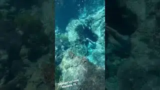 Into The Cave