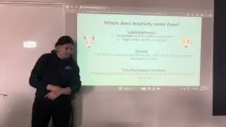 Reactivity with Brittney Schwarz