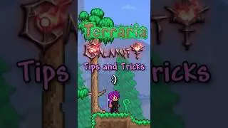 Terraria Calamity Tips and Tricks