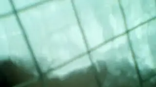 Столовка