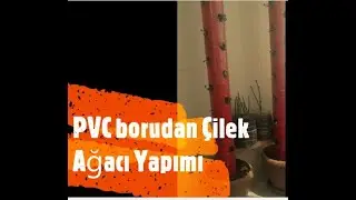 pvc boruda dikey çilek ekimi