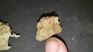 Nug Porn