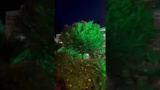 Живая музыка по дороге на пляж