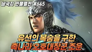 유선의 목숨을 구한 촉나라 오호대장군 '조운' [삼국지 인물열전] #645