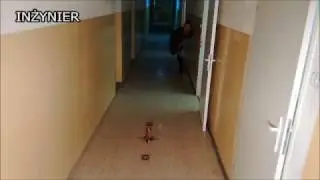 Flanki, piwerko, inżynier kasuje telefon