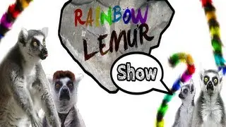 Apocalipsis [Rainbow Lemur Show]