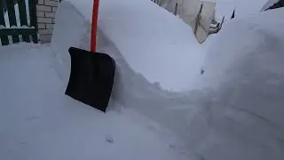 За семенами и домой