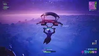 Fortnite_avenging danny