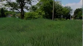 REALISTIC  VFX CG 3D GRASS MADE IN BLENDER