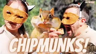 The Eating Habits of the Chipmunk (Self-Control)