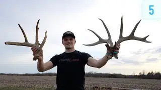 3 BIG Antlers in 15 yards & CRAZY 4 Point Find // Shed Hunting 2024 E5