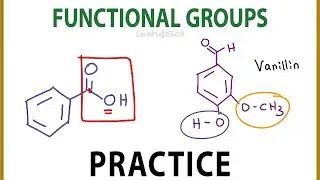 Functional Groups Practice for Organic Chemistry