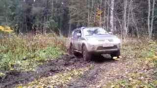 ватцы 2014