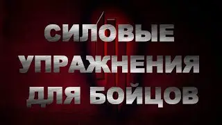 СИЛОВЫЕ УПРАЖНЕНИЯ ДЛЯ БОЙЦОВ