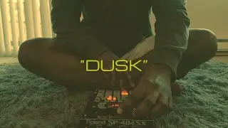 Kuma Gold - Dusk | SP-404