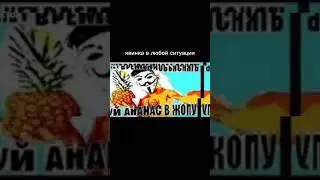 #мемы