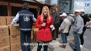 İBB'DEN KÜÇÜK ÖLÇEKLİ BALIKÇILARA DESTEK