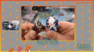 Kleavor & Hisuian ZoroarkPremium Collection Box Opening! Pokemon TCG