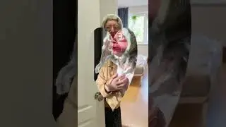 Если вы сегодня еще не одурели от этой песни… #3сентября #юмор #funny #третьесентября #прикол #