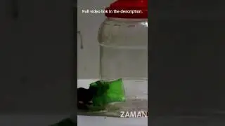 plastic jar mouse trap 