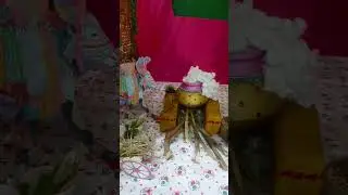 #happypongal