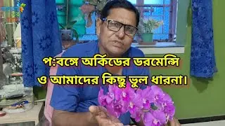 বঙ্গে অর্কিডের ডর্মেন্সি ও আমাদের ভুল ধারণা/বাঞ্ছারাম এর বাগান//অর্কিডের পরিচর্যা