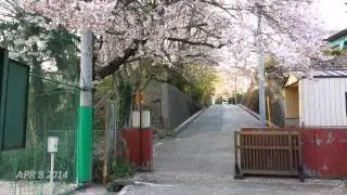 One Second Everyday in Japan (Year 1: 2013-2014)