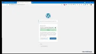 Ninja Forms Submissions Not Showing? How to Check & Fix in WordPress
