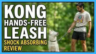An Honest KONG Shock Absorbing Hands-Free Dog Leash: 6-ft Review