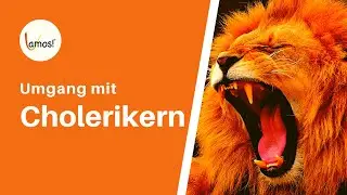 Choleriker: Umgang mit Cholerikern | Dagmar Gerigk