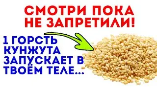 Редкий доктор знает, что настоящая роль кунжута - это запуск этих целительных процессов в нашем...