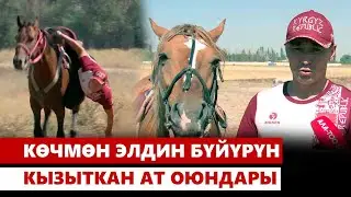 Көчмөн элдин бүйүрүн кызыткан ат оюндары