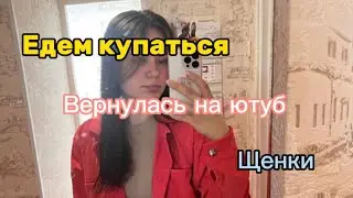 ВЕРНУЛАСЬ ПОЕЗДКА КУПАТЬСЯ ЩЕНКИ