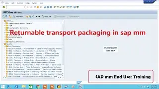Returnable transport packaging in sap mm