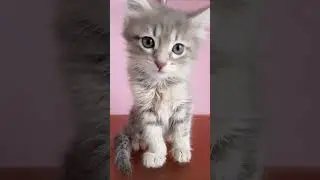 какой же ты милый красивый
