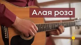 Песнь Солнцу / Дмитрий Мургин - Алая роза (Official Clip)