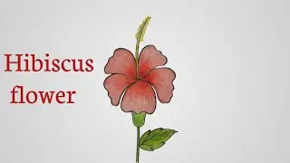 How to draw a hibiscus flower step by step॥ Hibiscus flower drawing easily 