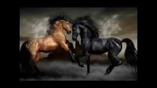 Ах вы кони мои  кони