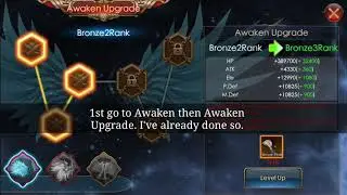 Legacy of Discord - Skywing Emblem (Quick Tutorial)